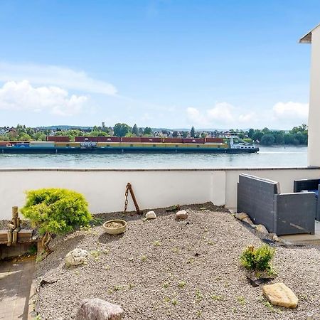 Tiny Apartment With Spacious Terrace On The Rhine Neuwied Eksteriør bilde